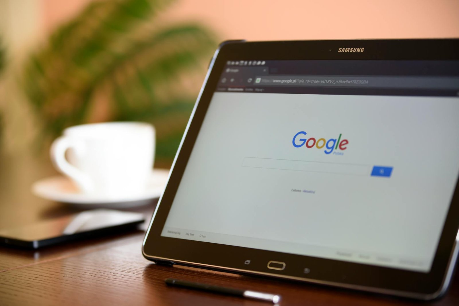 quincy dry cleaners seo — How Quincy and Dorchester Dry Cleaners Can Rank