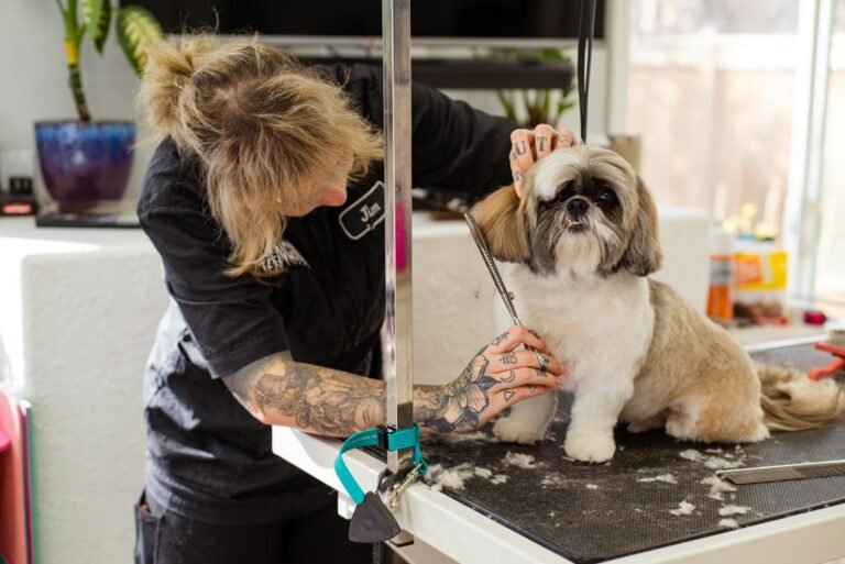 beverly danvers pet groomers — How Beverly and Danvers Pet Groomers Can Capture